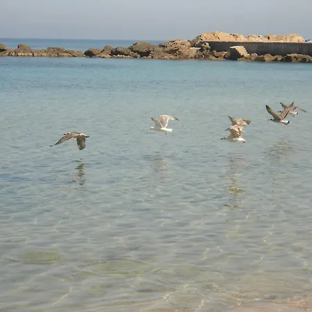 Appartamento Gallipoli شقة *