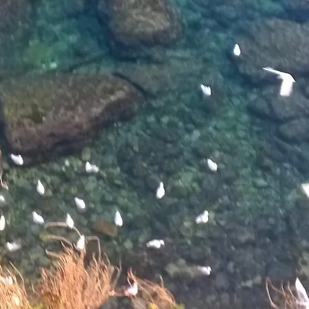 דירה Appartamento Gallipoli *