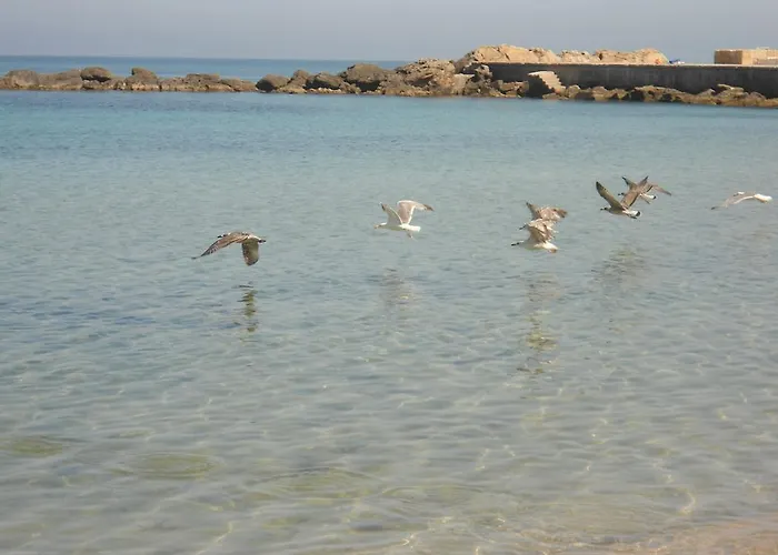 Appartamento Gallipoli Apartment *