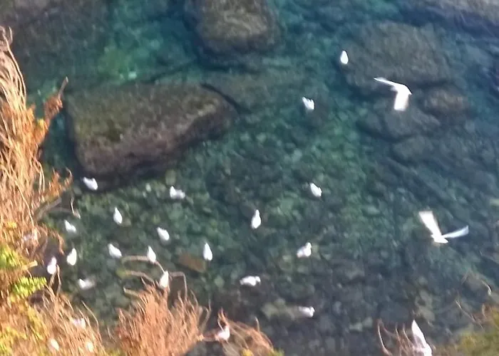 Apartment Appartamento Gallipoli *